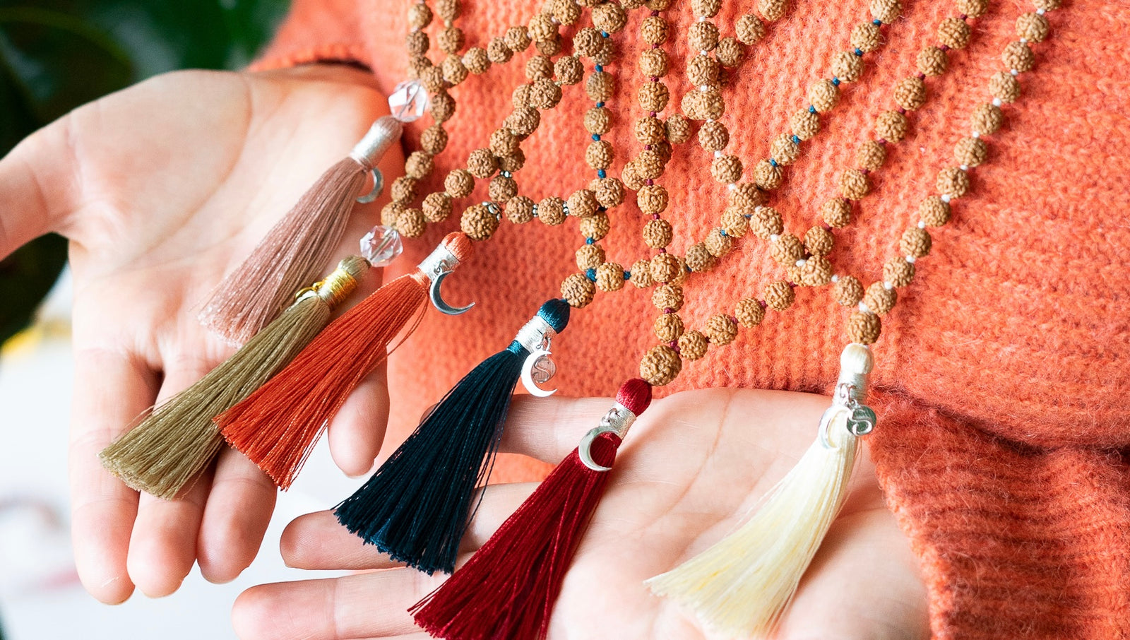 The Sacred Rudraksha