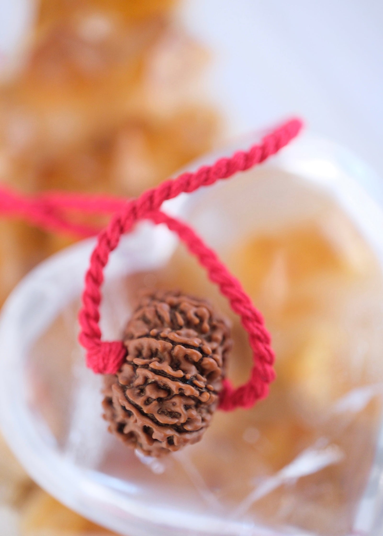 
                How to Identify Authentic Rudraksha, and Why the Water Test Is Nonsense
              