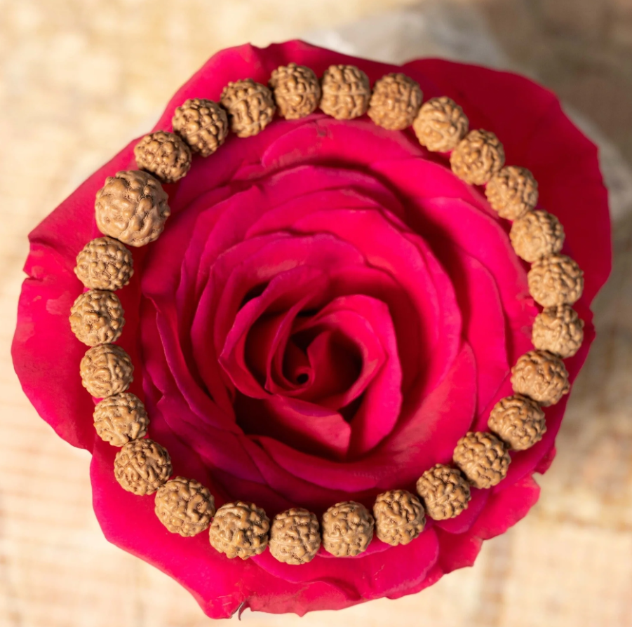 
          
            Benefits of Mantra repetition “Om Namah Shivaya” All Night on Shivaratri
          
        