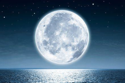 
          
            Effects of the Full Moon
          
        