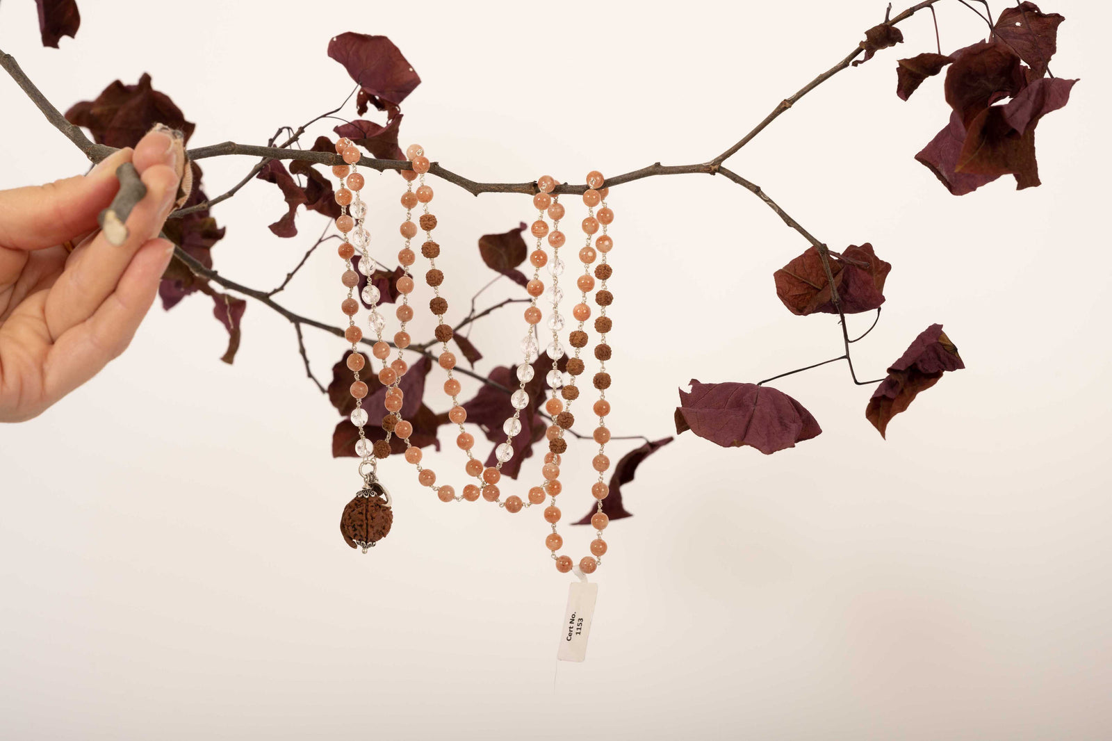 
          
            Aparigraha: To let go and let flow
          
        