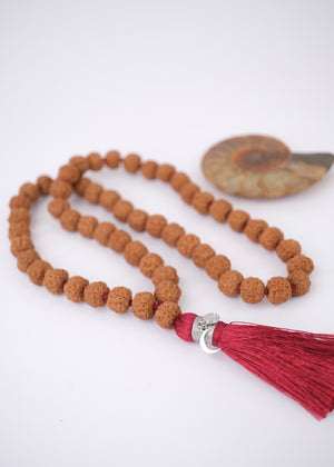 MAHA Pathri Chikna Rare Kantha Rudraksha Mala | 54 + Guru, 12.5mm of the finest Rudraksha