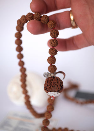 Sacred Nepal 5 Mukhi Rudraksha mala with guarantee certificate