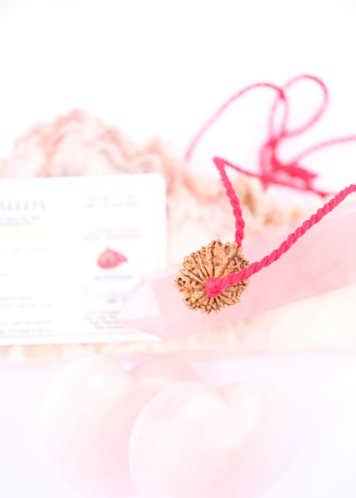 15 Mukhi Collectors Nepal Rudraksha | Anahata Chakra HEART Centre