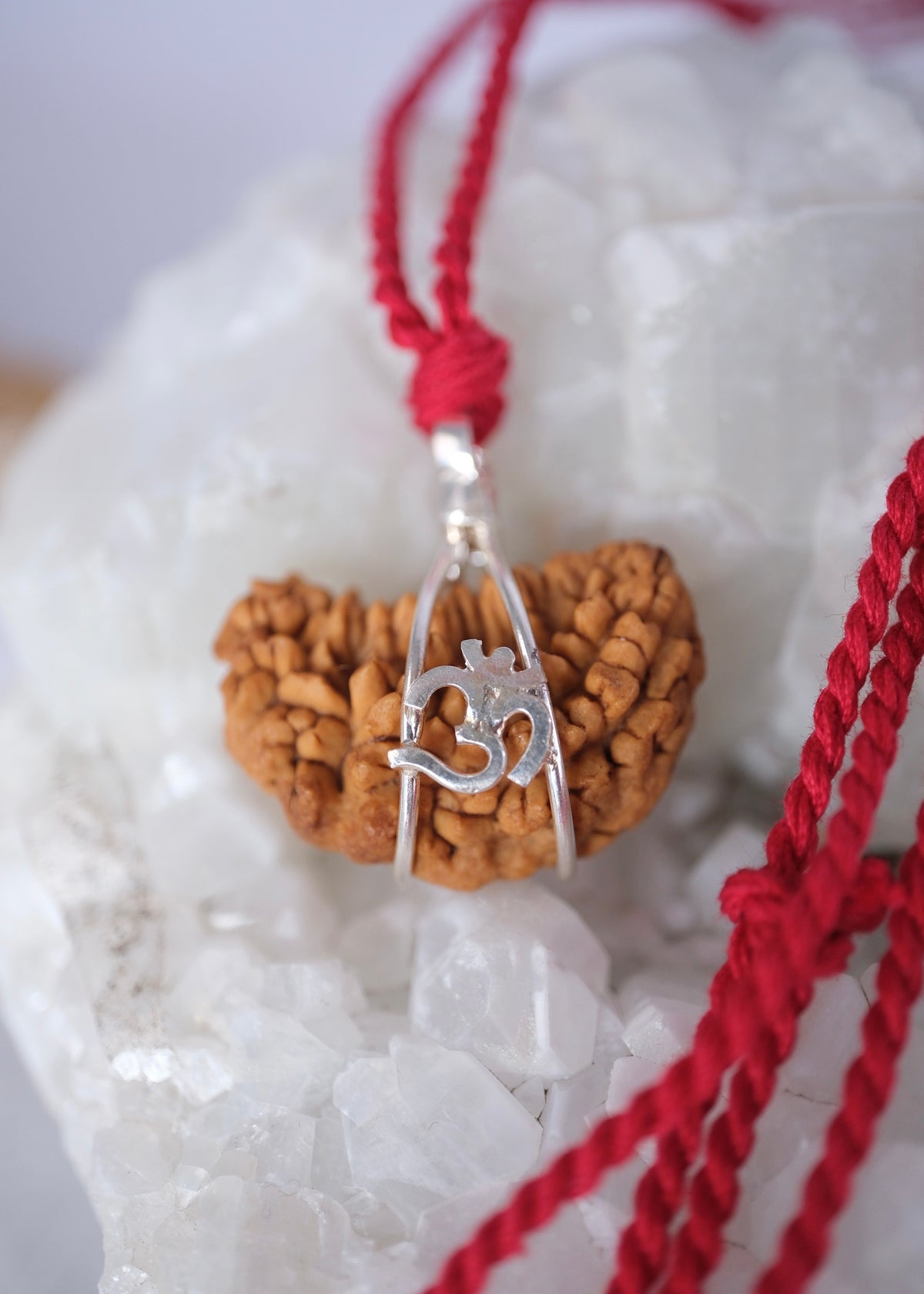 Close view of the sacred one mukhi Rudraksha seed cradled in a silver Om frame on red Shakti thread.
