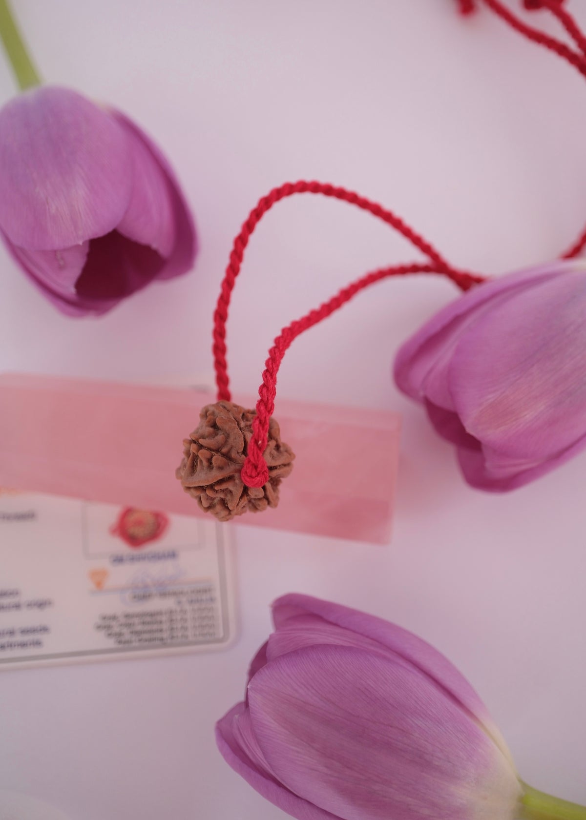 Seven mukhi Lakshmi Rudraksha pendant on adjustable handwoven red thread
Collector's quality seven mukhi Himalayan Rudraksha bead with clean even faces