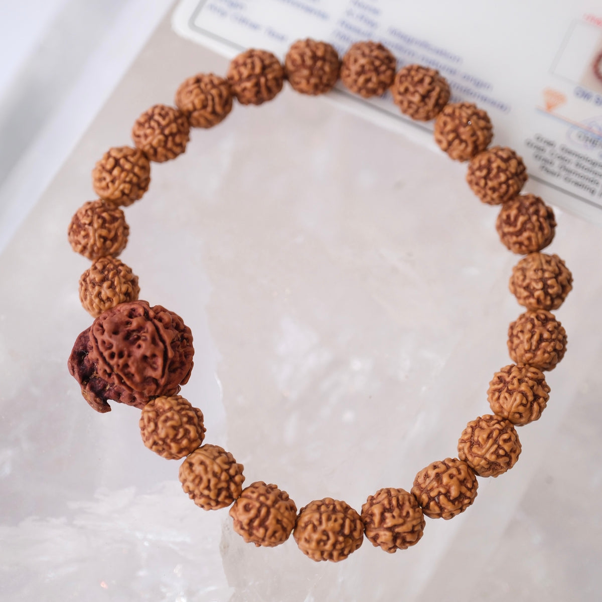 TEMPLE Collection: GANESH Nepal Rudraksha Mens bracelet