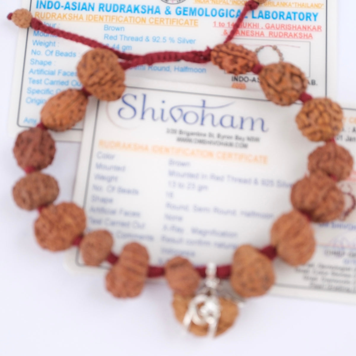 SIDDHA Bracelet | 1-14 Mukhi, Ganesh & Gauri Shankar, Indonesian premium Rudraksha