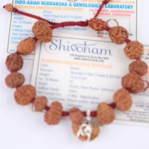 SIDDHA Bracelet | 1-14 Mukhi, Ganesh & Gauri Shankar, Indonesian premium Rudraksha