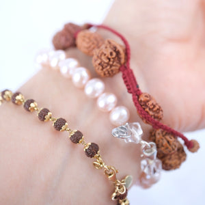SIDDHA Bracelet | 1-14 Mukhi, Ganesh & Gauri Shankar, Indonesian premium Rudraksha