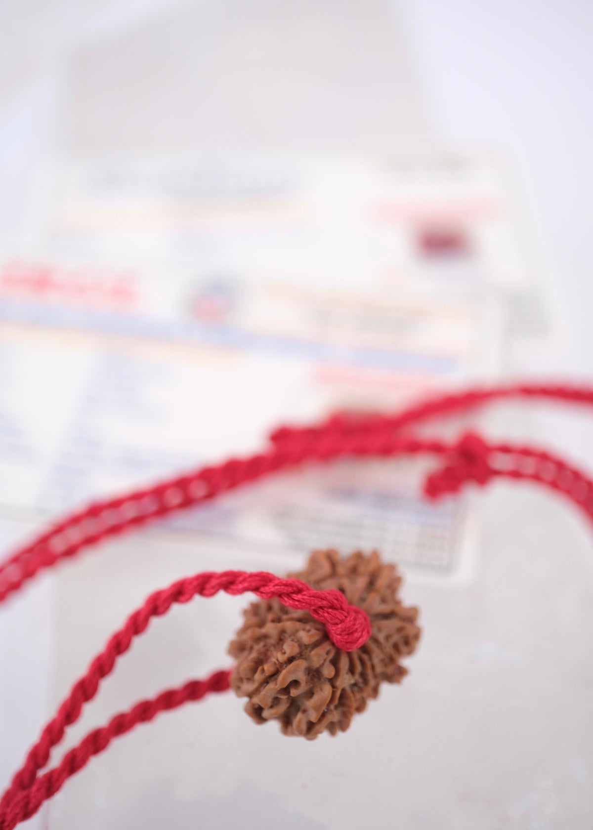 13 Mukhi Collectors Nepal Rudraksha INDRA, KAMDEV, CUPID | Love, Abundance, Charisma