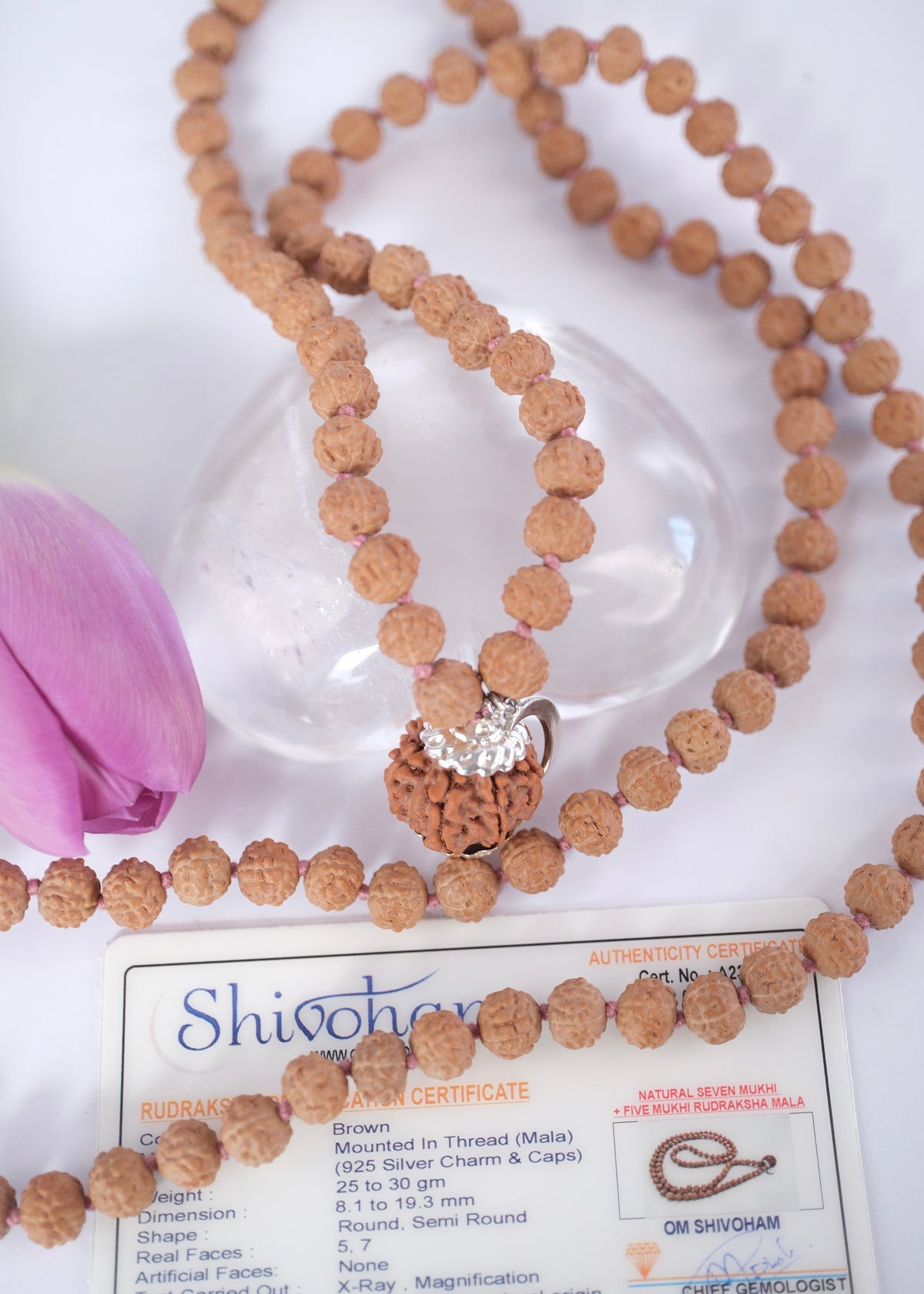 Rudraksha japa mala for meditation and abundance