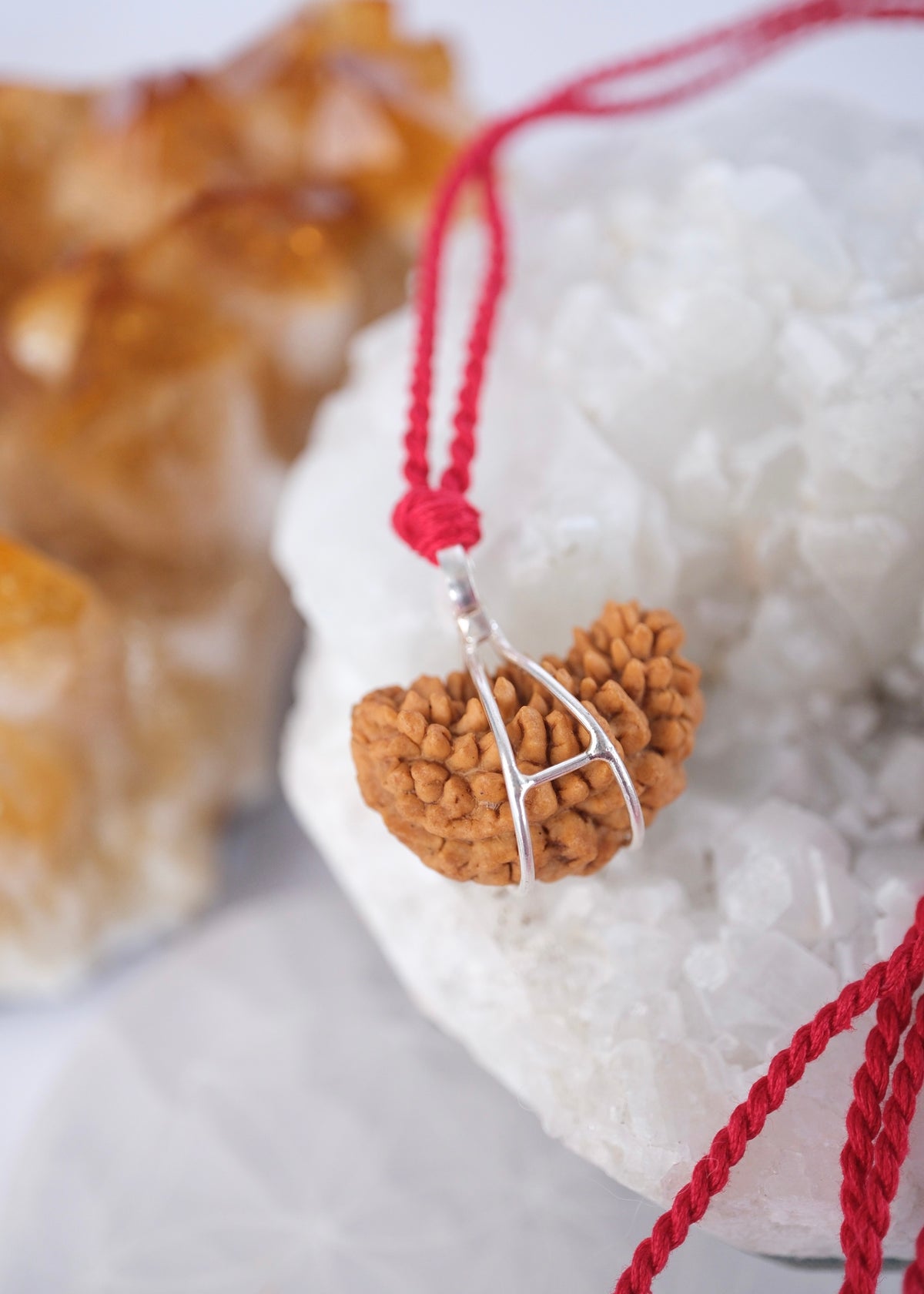 Back of wk Mukhi pendant case by Shivoham