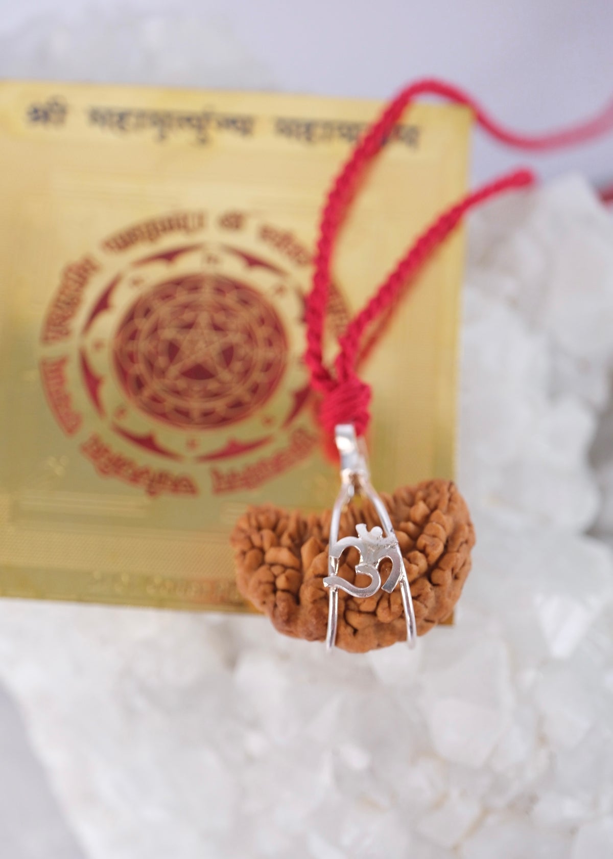 Rare South Indian Ek Mukhi one mukhi Rudraksha in a sterling silver Om case on adjustable red thread, resting on clear quartz.