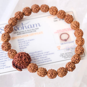 TEMPLE Collection: GANESH Nepal Rudraksha Mens bracelet