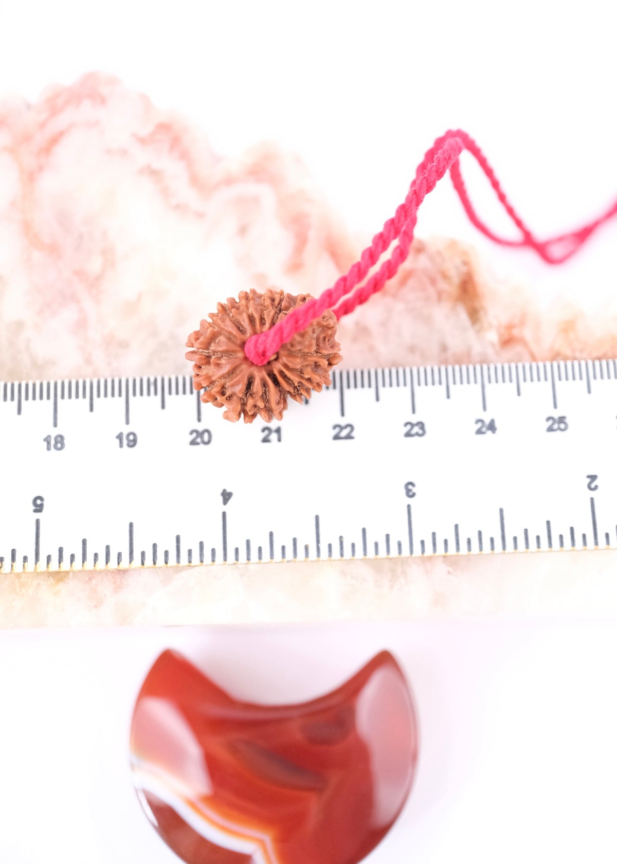 14 Mukhi Collectors Nepal Rudraksha &#39;DEV MANI&#39; Pendant | Prosperity in all areas, Protection SHIVA