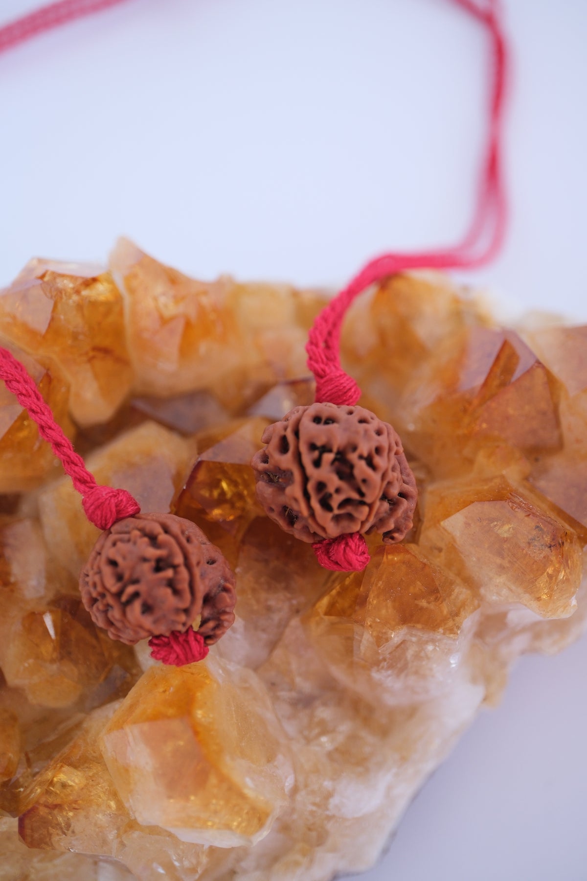 Two Ganesh Rudraksha showing natural trunk on citrine crystal