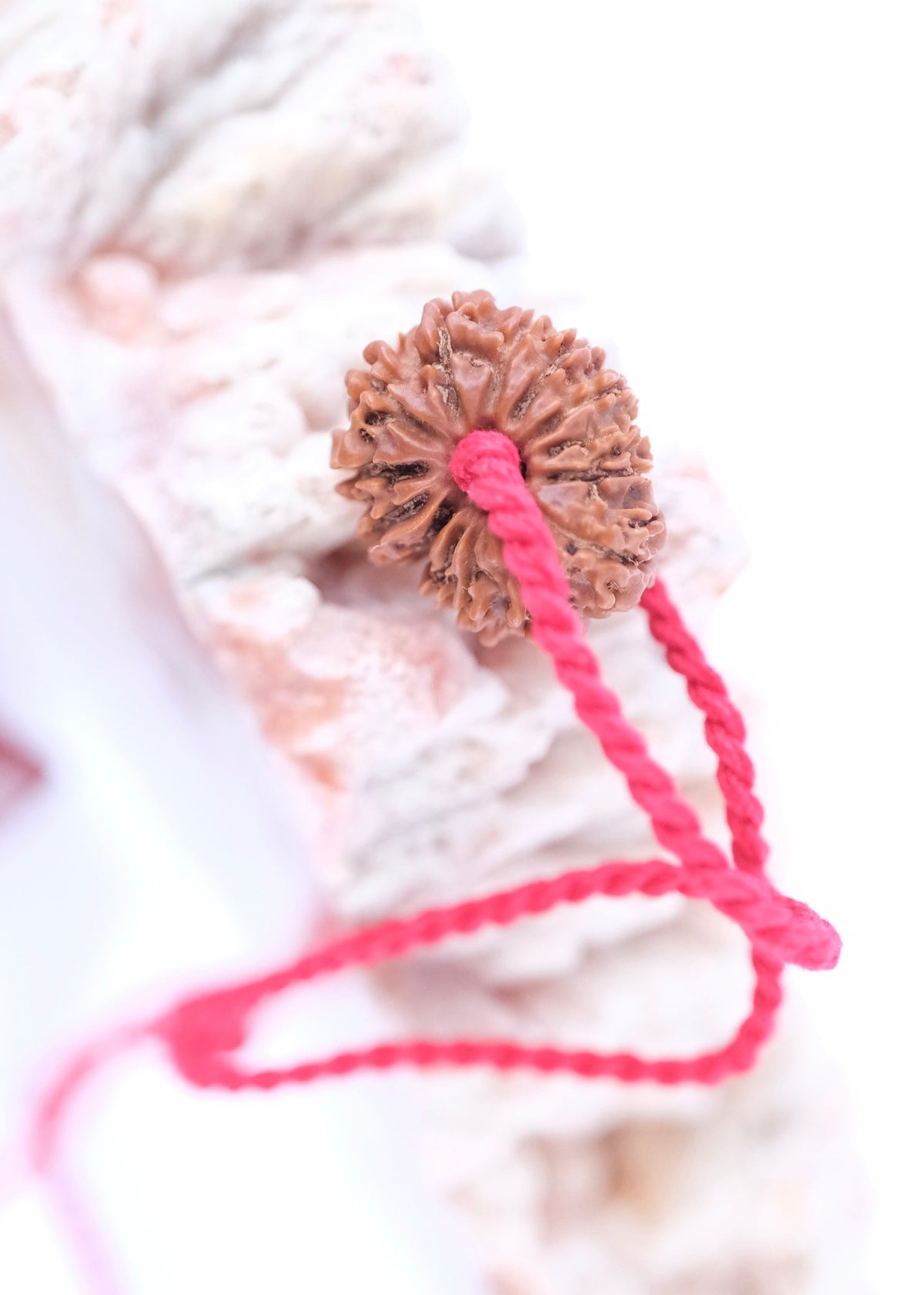 14 Mukhi Collectors Nepal Rudraksha &#39;DEV MANI&#39; Pendant | Prosperity in all areas, Protection SHIVA
