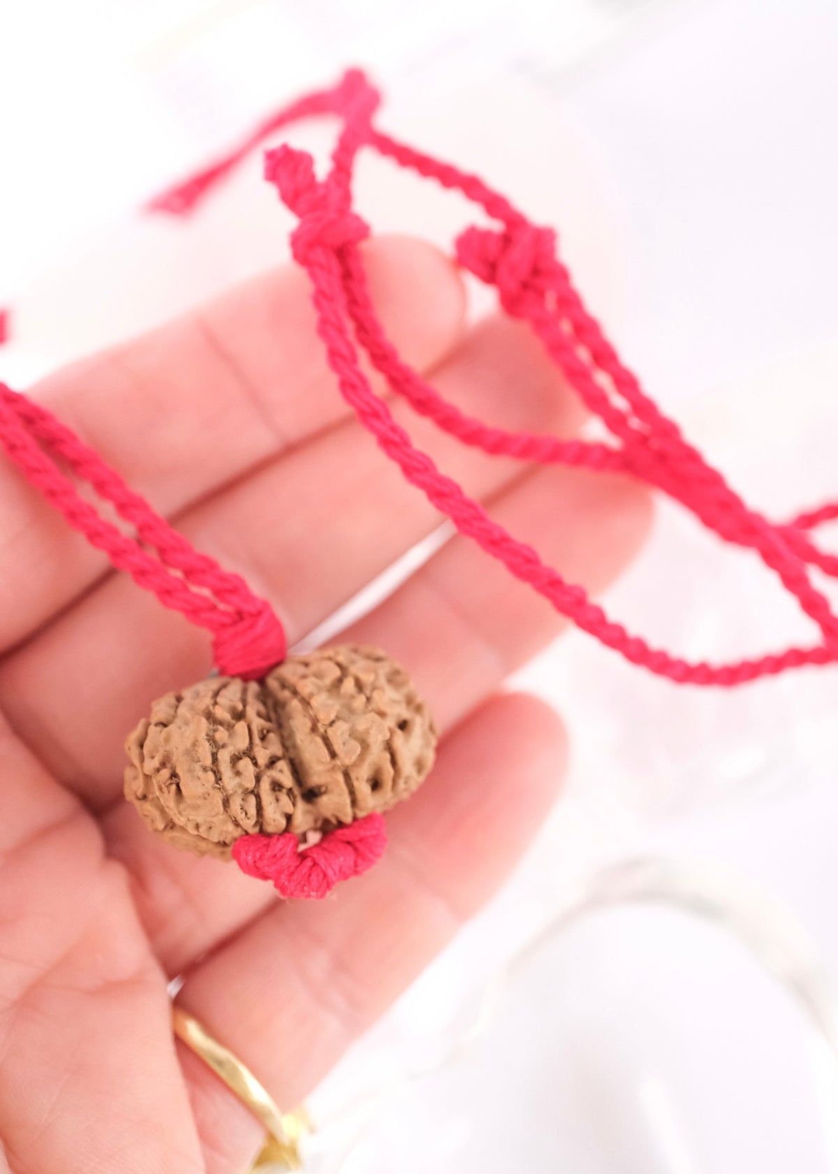 Sacred Shiva Shakti Rudraksha pendant, a rare boon for spiritual union and oneness with all creation. Held gently by a woman’s hand.