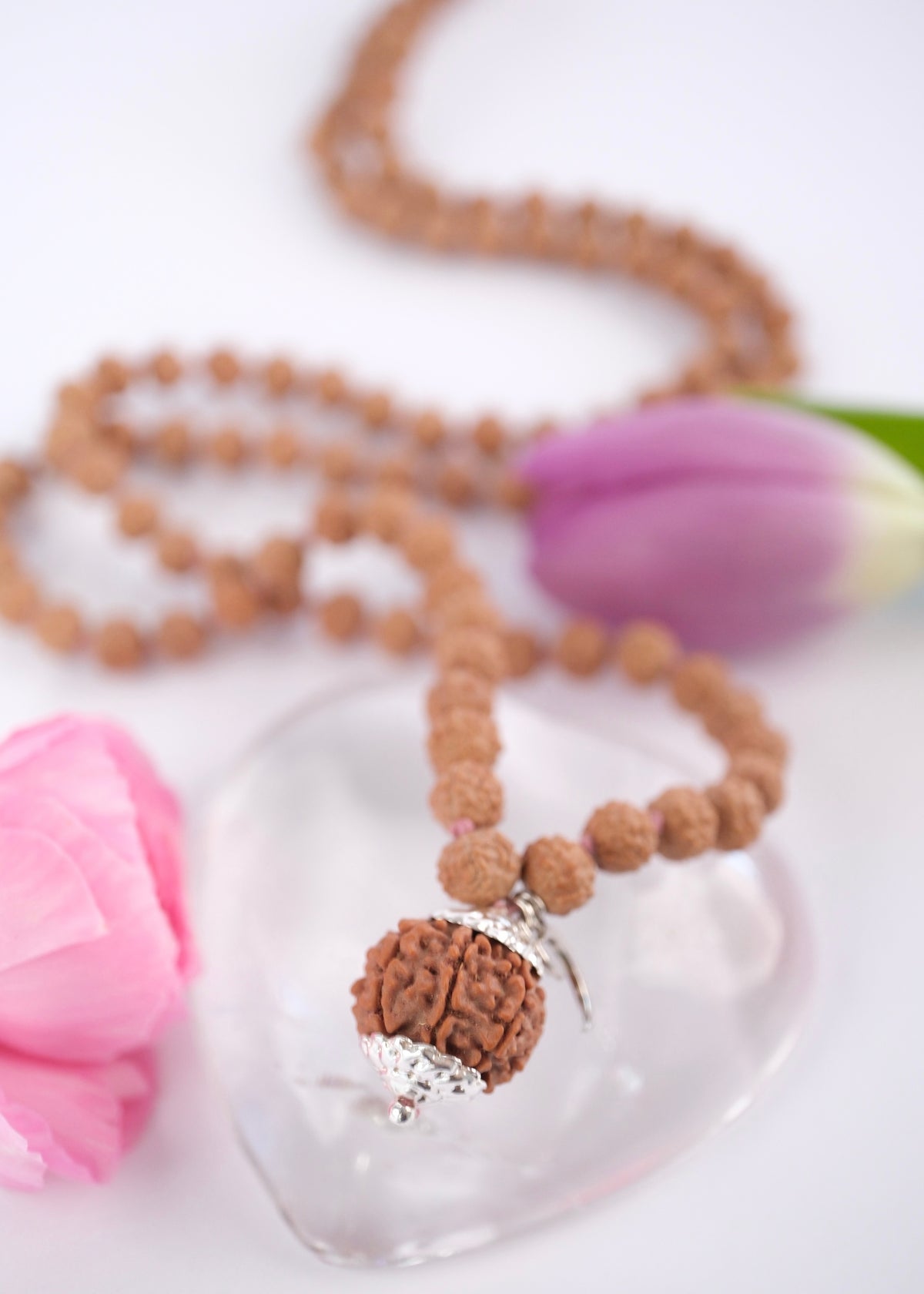 Rare Nepali seven mukhi Rudraksha guru bead with custom silver caps on a 108 bead mala