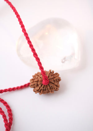 13 Mukhi Collectors Nepal Rudraksha INDRA, KAMDEV, CUPID | Love, Abundance, Charisma