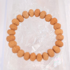 TEMPLE Collection: Riddhi Siddhi GANAPATI | Finest Indonesian 8 Mukhi Rudraksha Bracelet