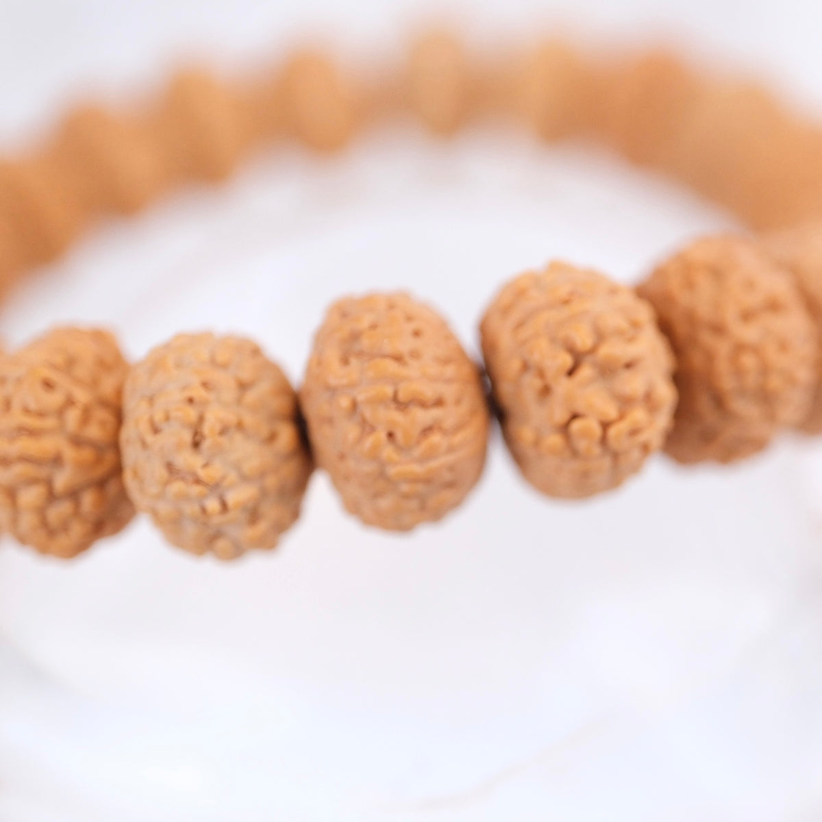 TEMPLE Collection: Riddhi Siddhi GANAPATI | Finest Indonesian 8 Mukhi Rudraksha Bracelet