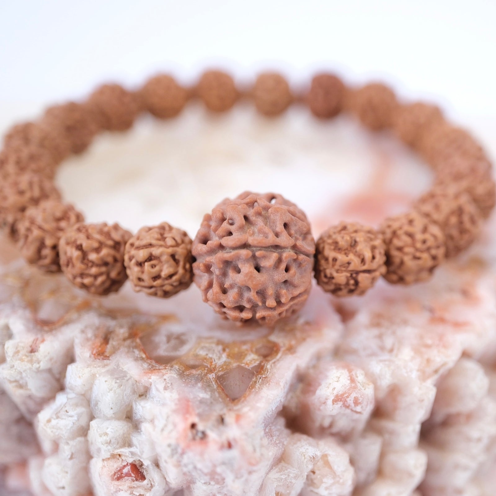 TEMPLE Collection LAKSHMI 7 Mukhi Nepal Guru bead with 5 Mukhi from Indonesia | Rudraksha bracelet