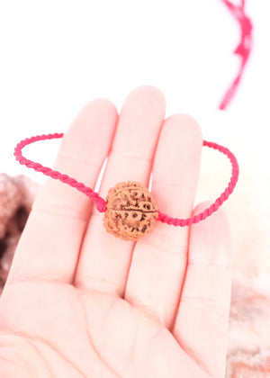 9 Mukhi Collectors Nepal Rudraksha