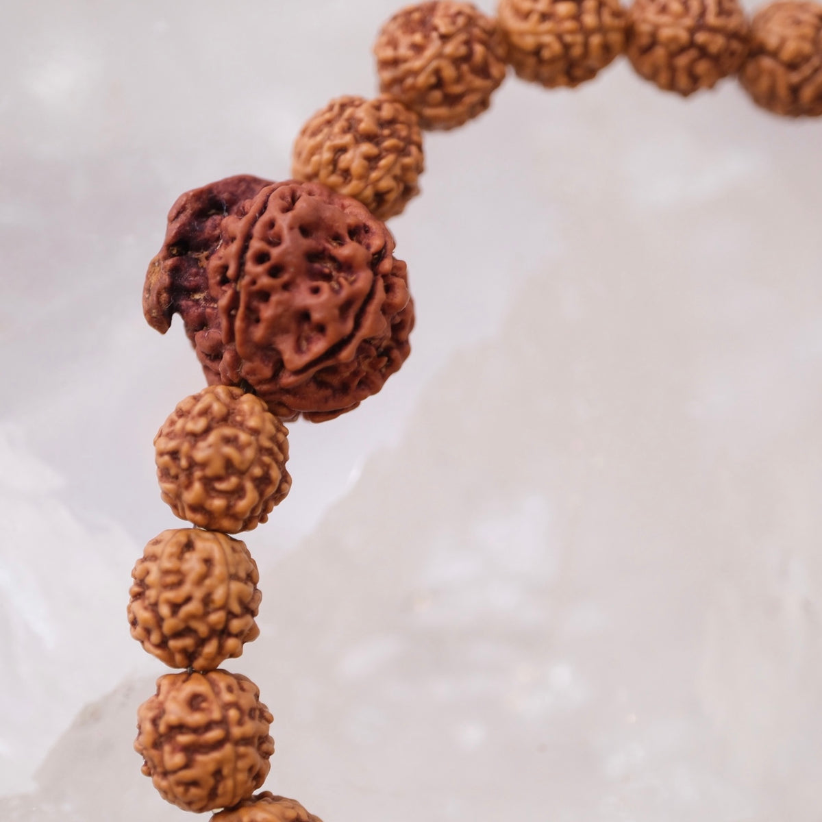 TEMPLE Collection: GANESH Nepal Rudraksha Mens bracelet