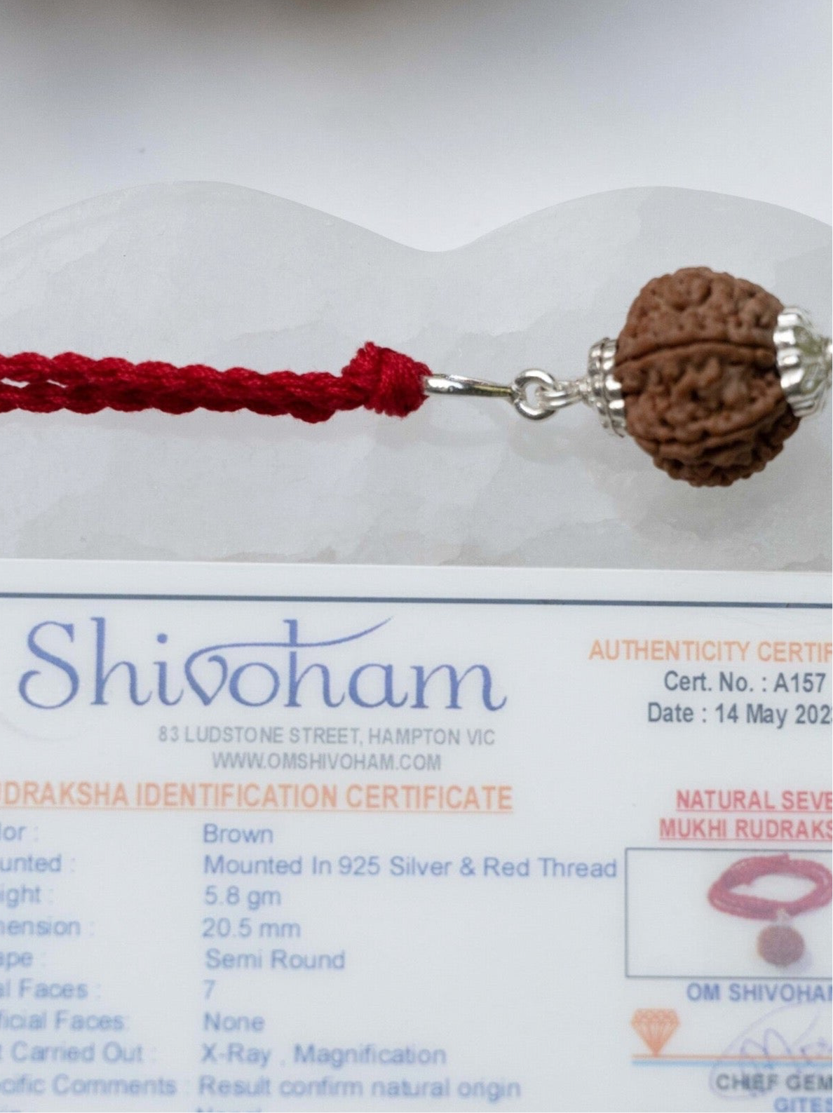 7 Mukhi Collectors Nepal Rudraksha Sterling Silver Rudraksha Pendant | Goddess of Abundance Lakshmi