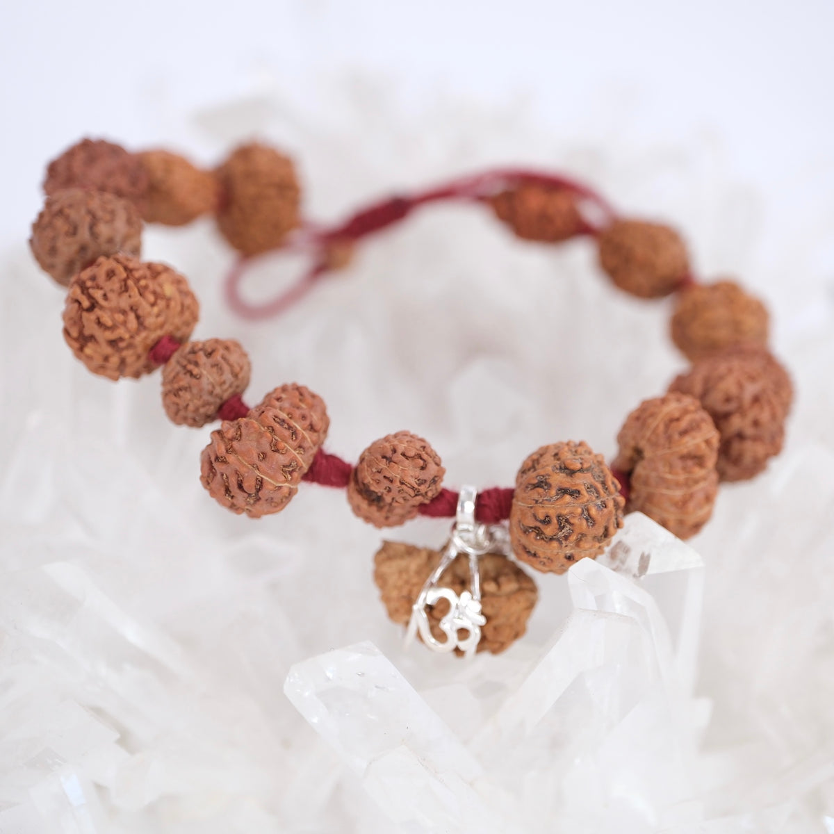 SIDDHA Bracelet | 1-14 Mukhi, Ganesh & Gauri Shankar, Indonesian premium Rudraksha