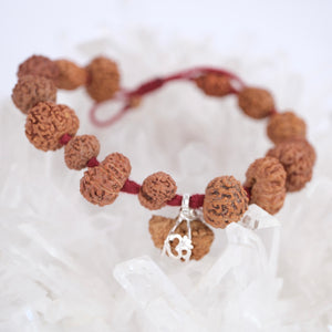 SIDDHA Bracelet | 1-14 Mukhi, Ganesh & Gauri Shankar, Indonesian premium Rudraksha
