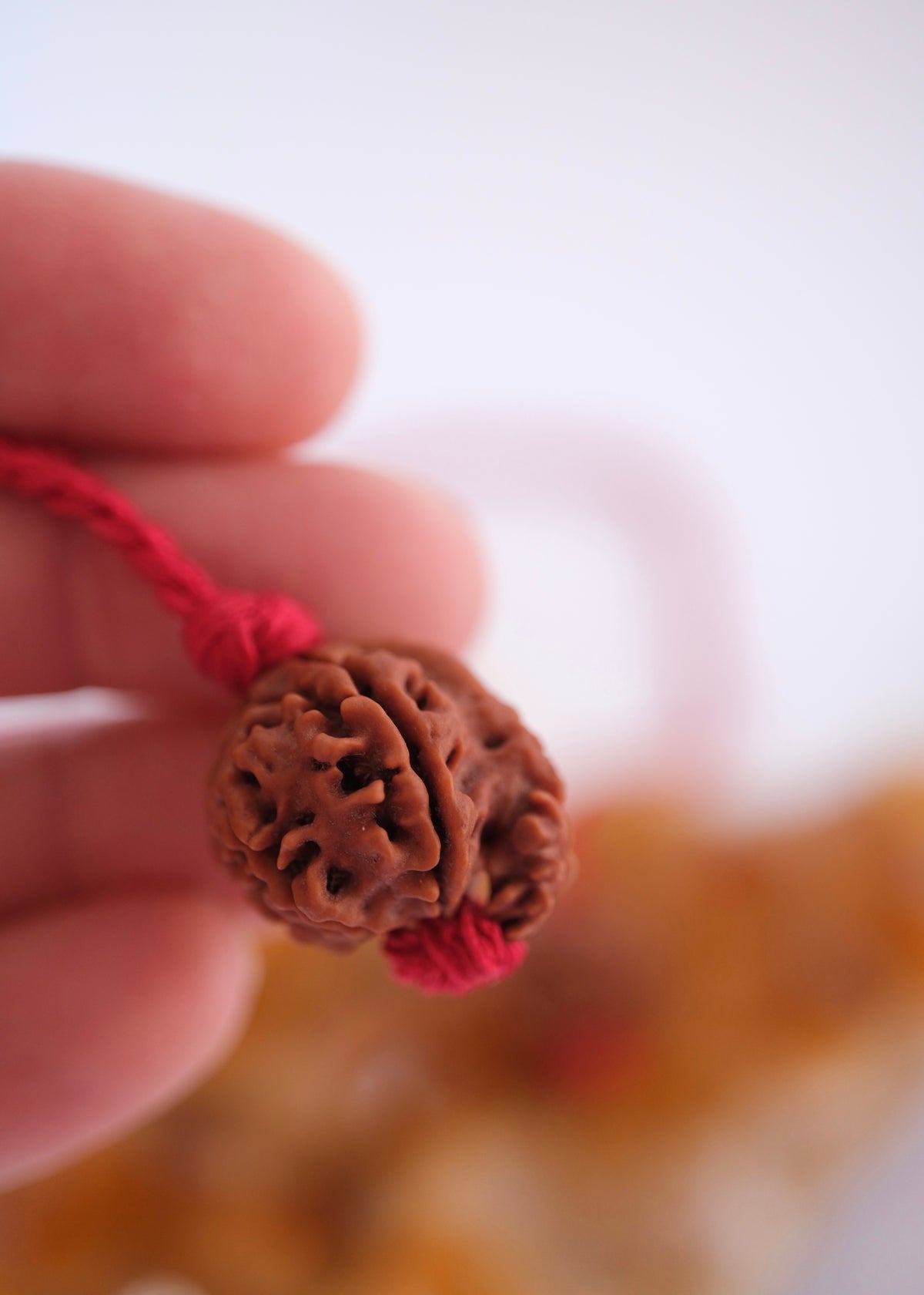 Original Himalayan Ganesh Rudraksha bead showing the natural trunk formation of Ganesha
