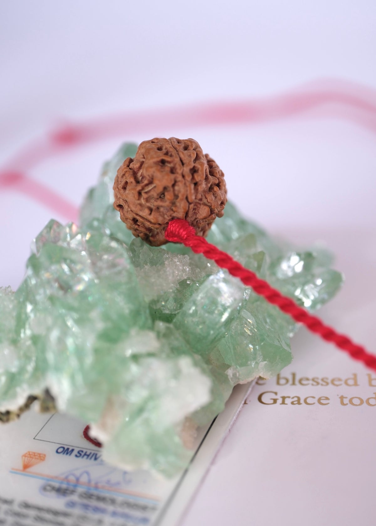 Nepal Panch Mukhi Rudraksha pendant with guarantee certificate