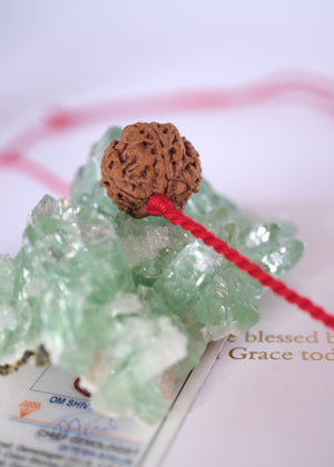 Nepal Panch Mukhi Rudraksha pendant with guarantee certificate