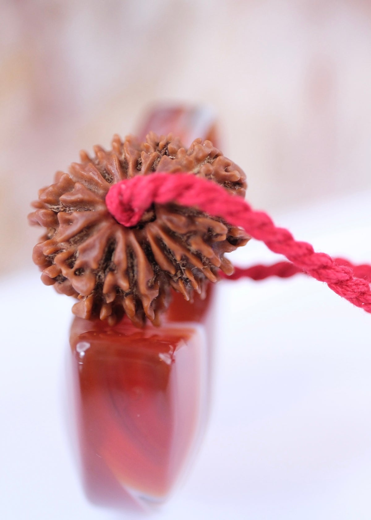 14 Mukhi Collectors Nepal Rudraksha &#39;DEV MANI&#39; Pendant | Prosperity in all areas, Protection SHIVA