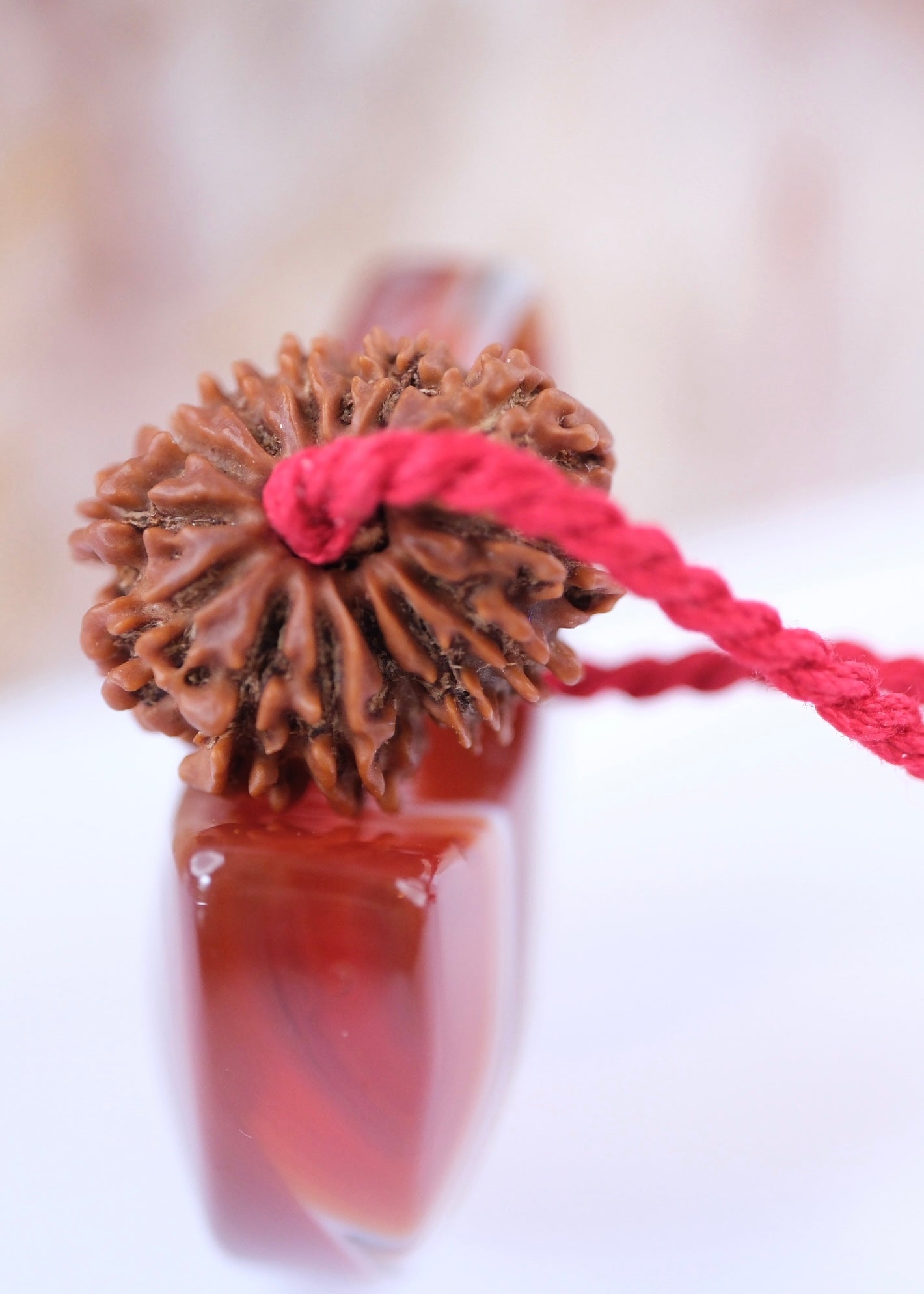 14 Mukhi Collectors Nepal Rudraksha 'DEV MANI' Pendant