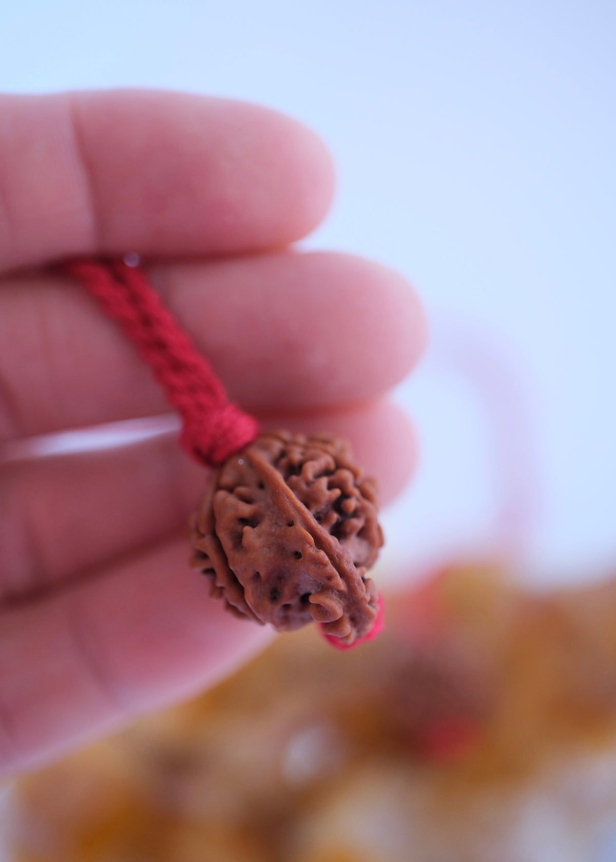 Authentic Nepal Rudraksha pendant on red thread