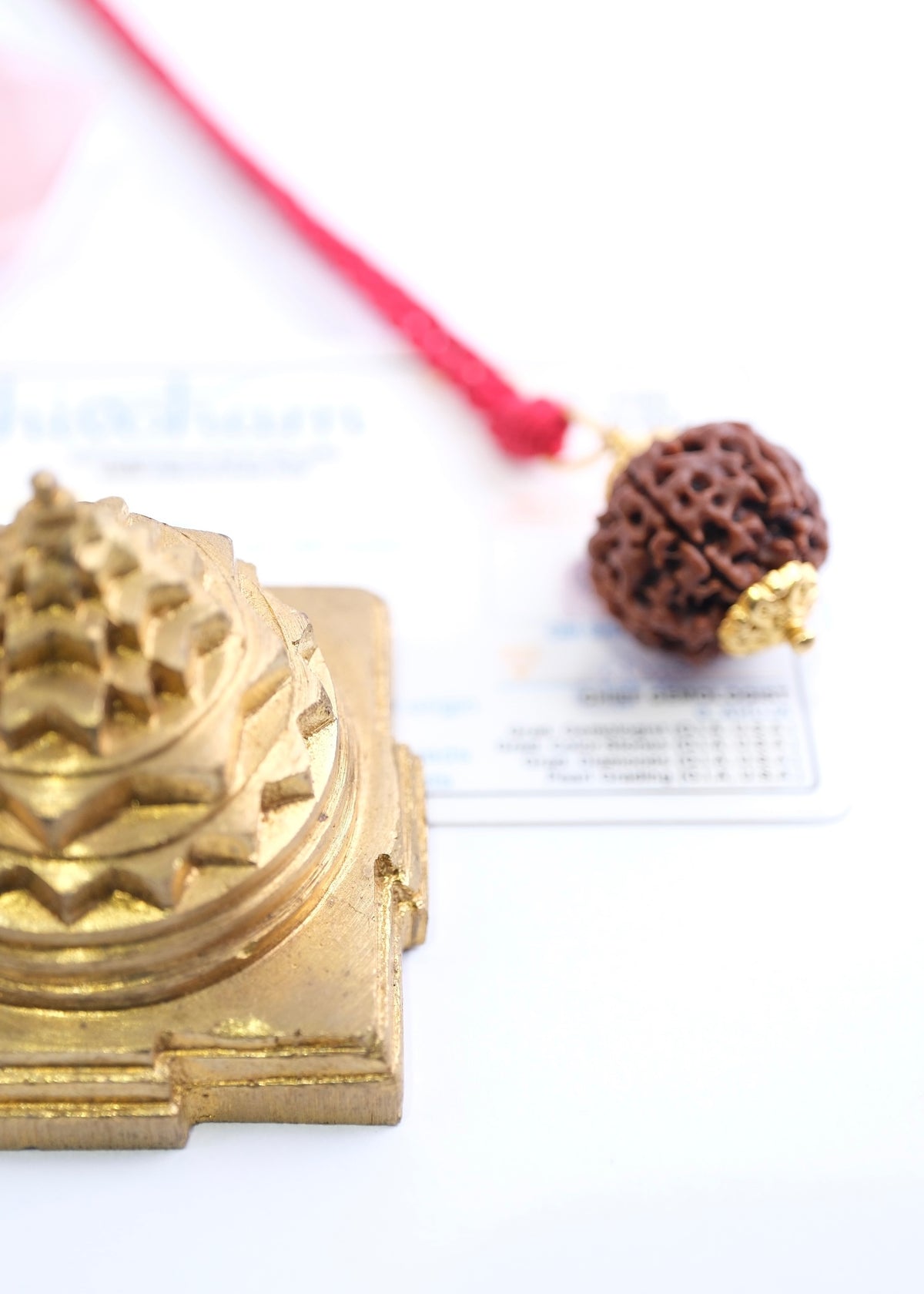 6 Mukhi 18k Gold Collectors Nepal Rudraksha Pendant | Kartikeya Power &amp; Success