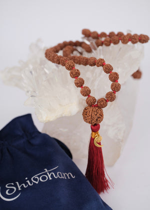 TEMPLE Collection: MAHADEV | NEPAL 5 Mukhi Guru bead, large 10mm premium Rudraksha Mala