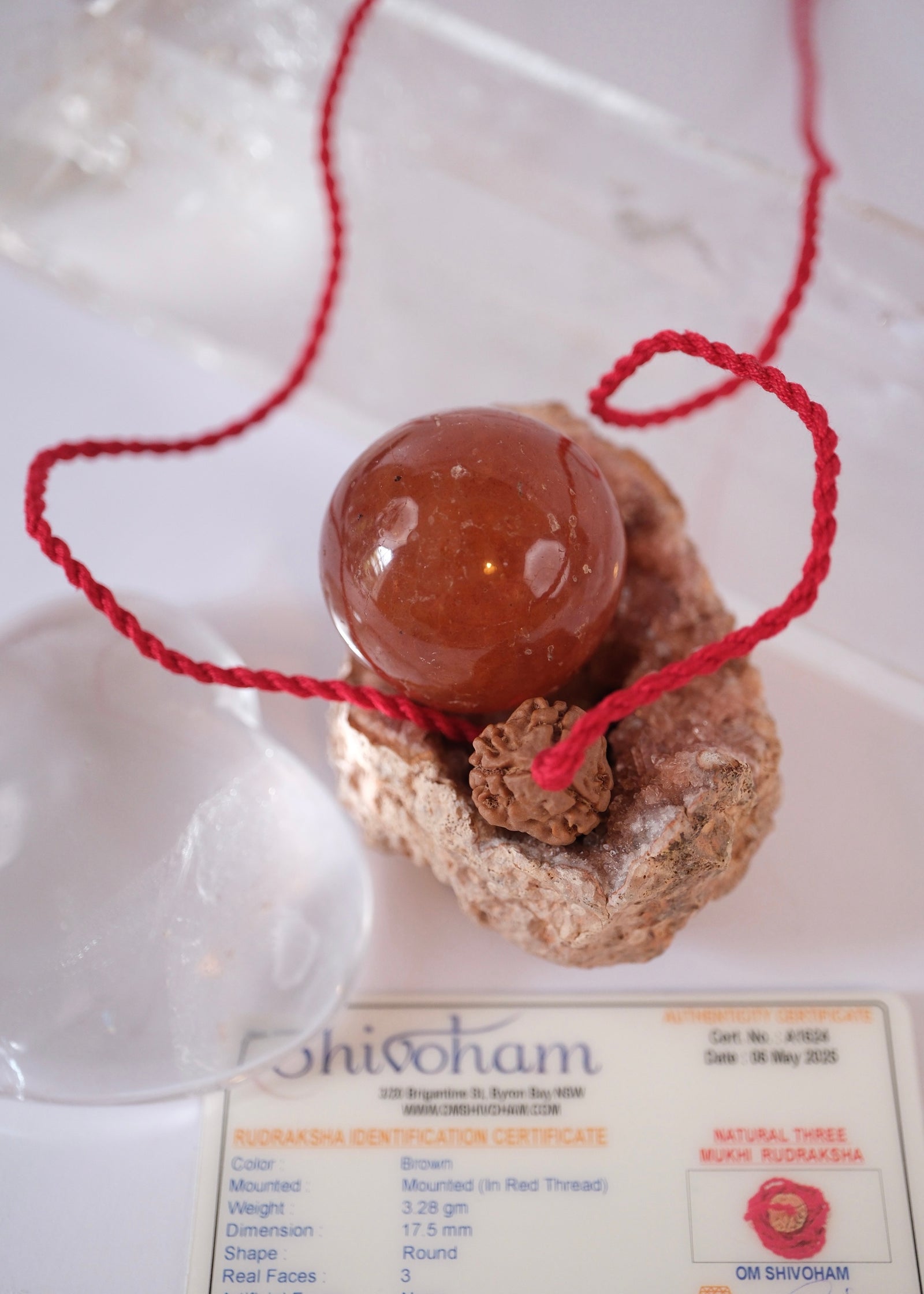 3 Mukhi Collectors Nepal Rudraksha | Trinity: Brahma, Vishnu, Mahesh | Life Changer