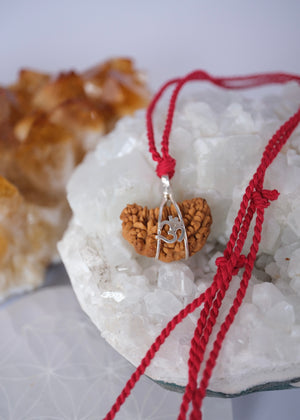 One mukhi Rudraksha pendant, the form of Shiva, held in a silver Om cage, blessed by Ma Ganga.