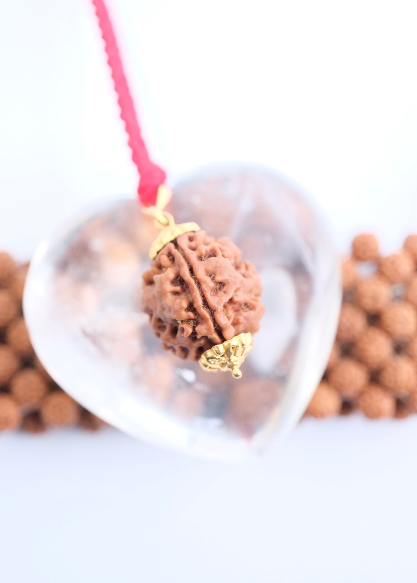 Nepal Rudraksha