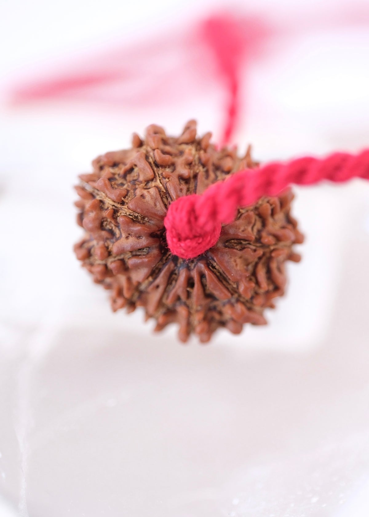 11 Mukhi Collectors Nepal Rudraksha | HANUMAN Virtue &amp; Immense Protection.