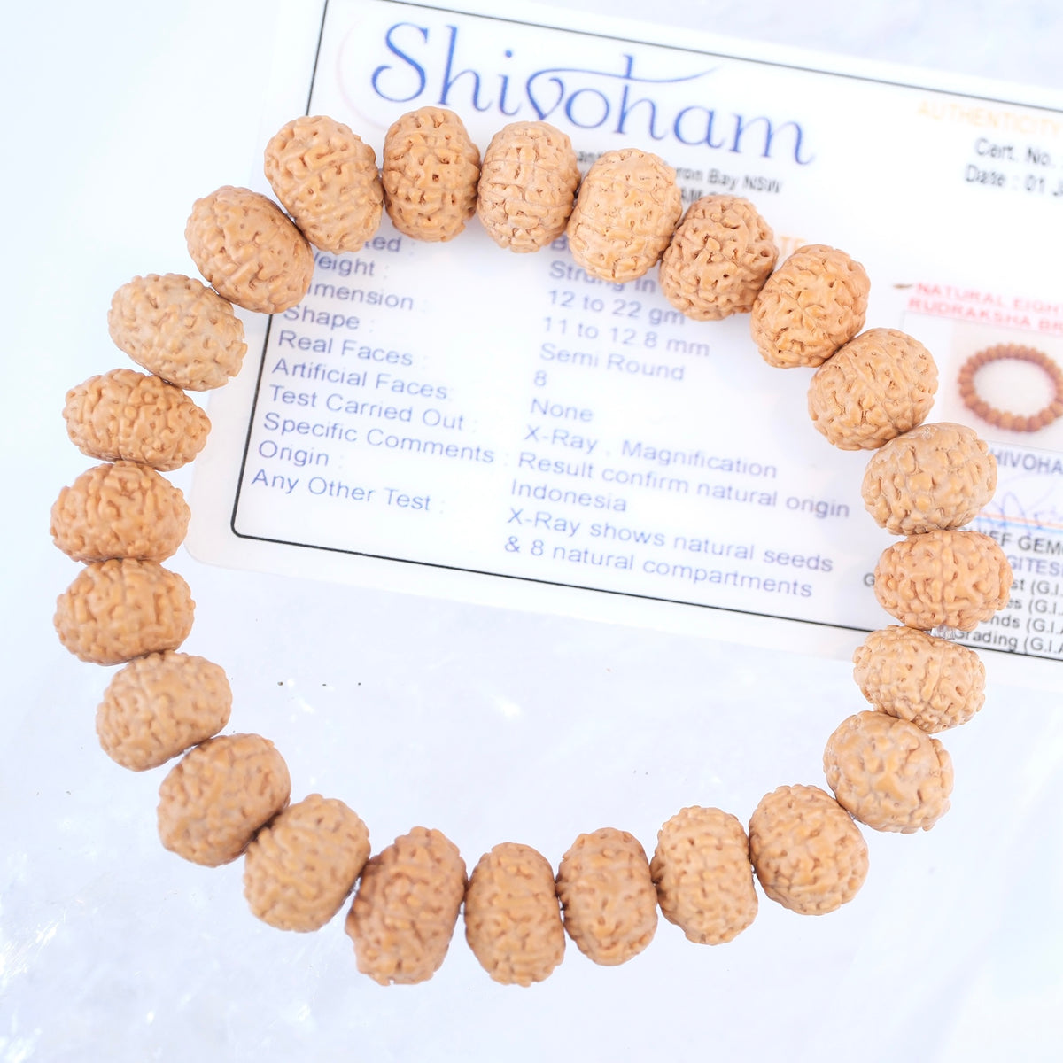 TEMPLE Collection: Riddhi Siddhi GANAPATI | Finest Indonesian 8 Mukhi Rudraksha Bracelet