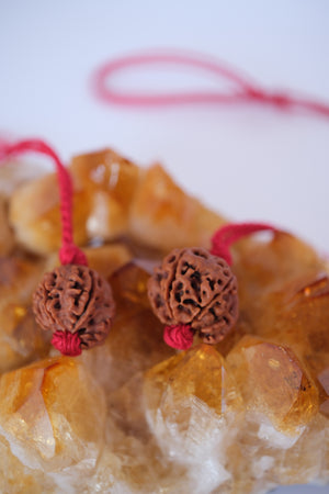 Rare Ganesh Rudraksha pendant on adjustable handwoven red thread
Original Himalayan Ganesh Rudraksha bead showing the natural trunk formation of Ganesha