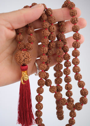 TEMPLE Collection: MAHADEV | NEPAL 5 Mukhi Guru bead, large 10mm premium Rudraksha Mala