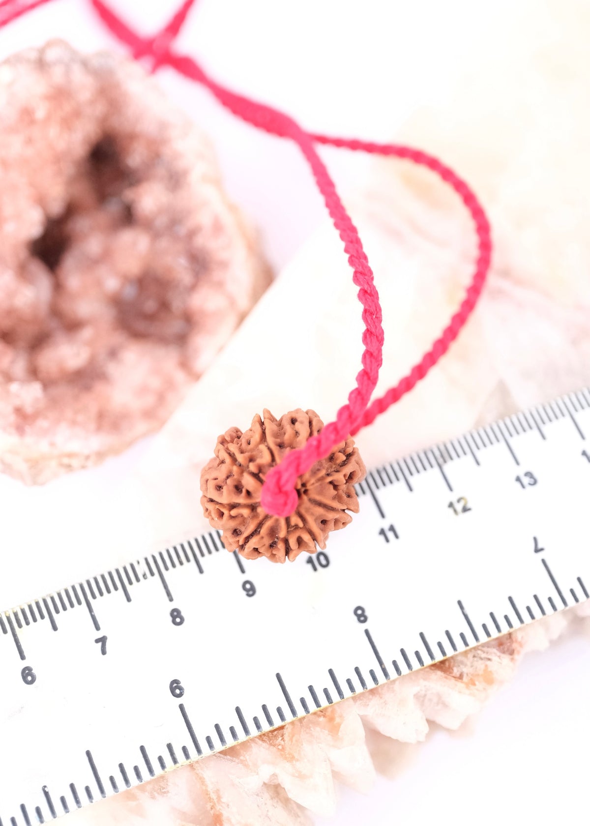 9 Mukhi Collectors Nepal Rudraksha