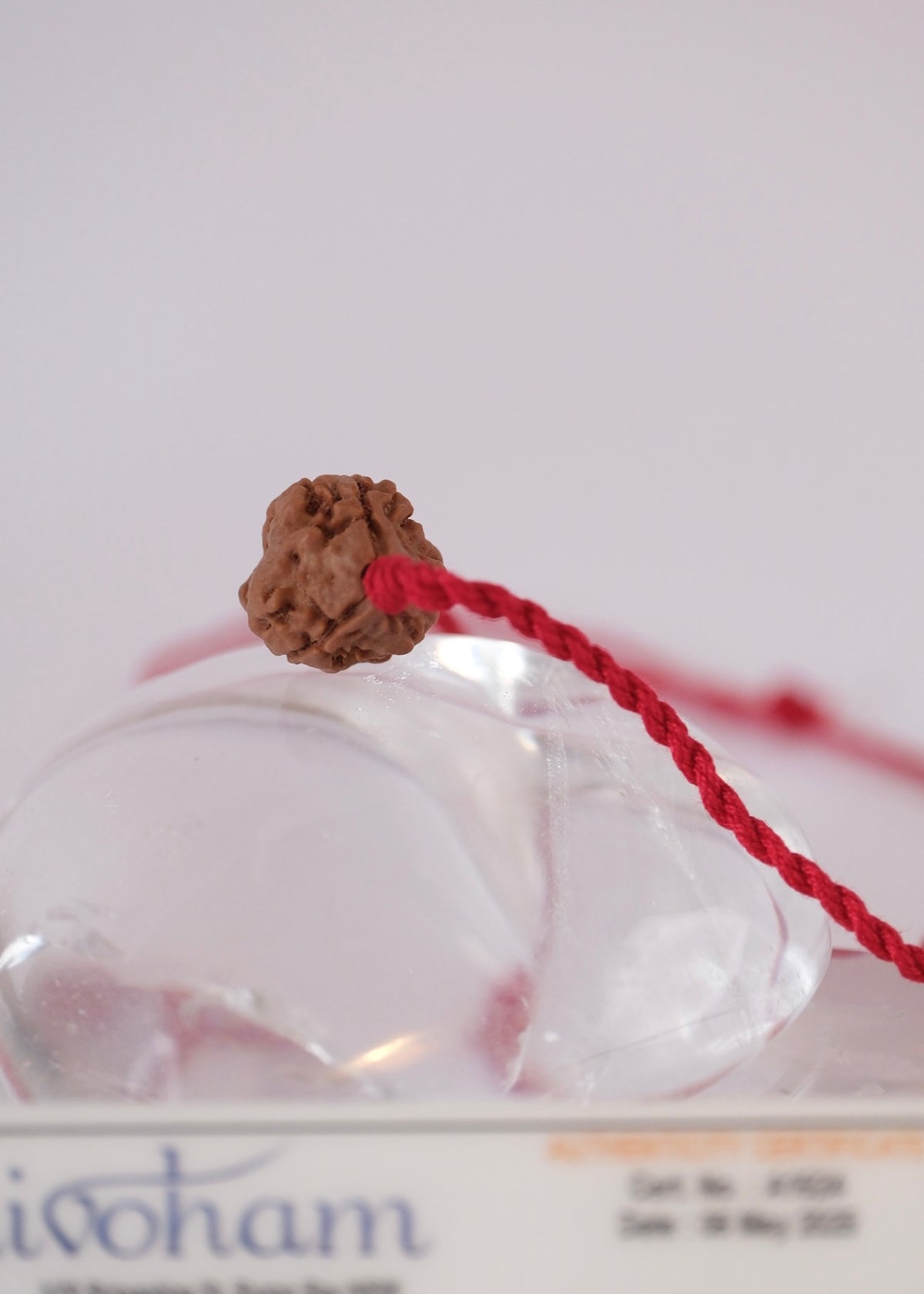 3 Mukhi Collectors Nepal Rudraksha | Trinity: Brahma, Vishnu, Mahesh | Life Changer